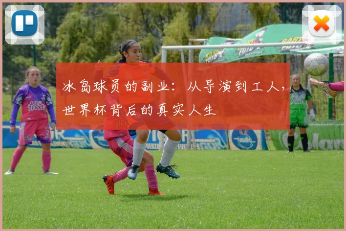 冰岛球员的副业：从导演到工人，世界杯背后的真实人生